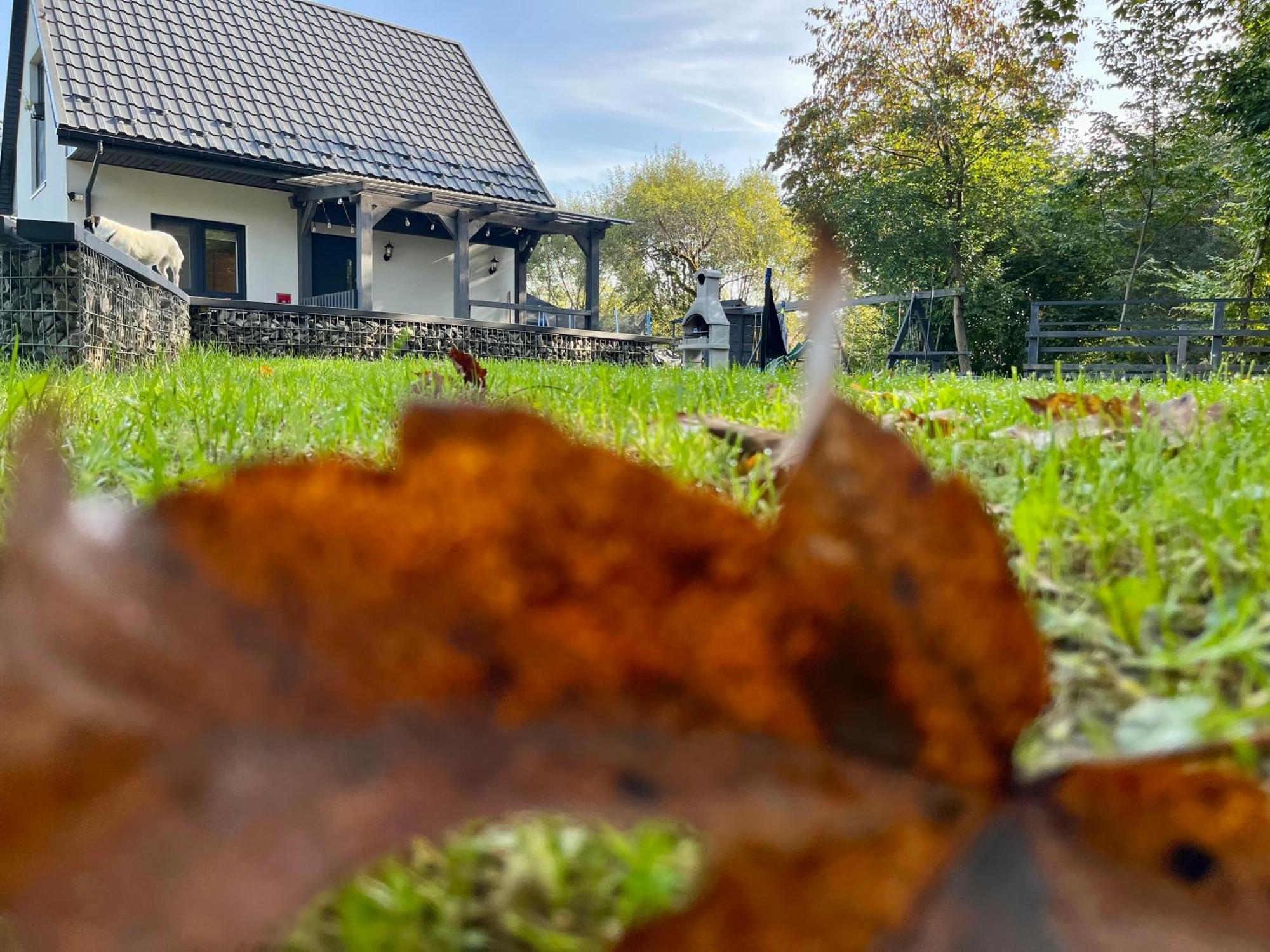 Domki Nad Starym Potokiem Устрики-Долішні Екстер'єр фото